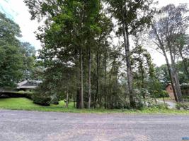 Lot 30 LOGTRAC RD