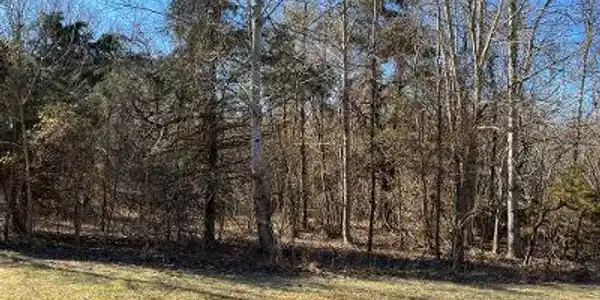 42 PALOMINO DR
