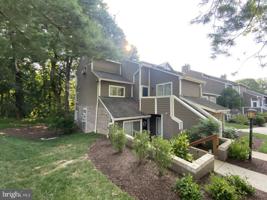 9403 HICKORY LIMB