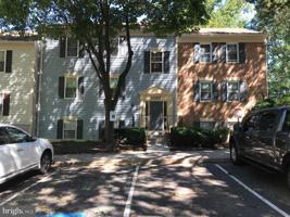 20217 SHIPLEY TERRACE