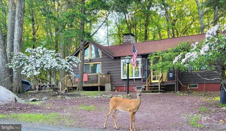 21 BUTTONWOOD ROAD