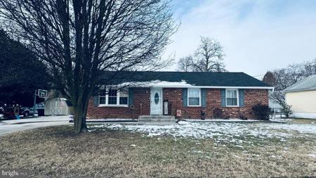 37 UNIVERSITY DRIVE