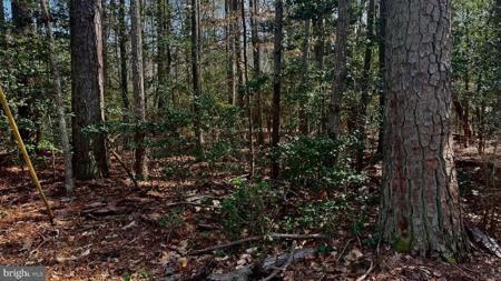 LAKE RD