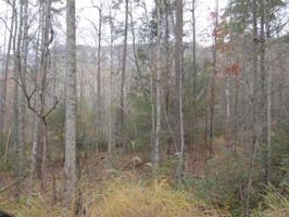 LOT 114 Bald Hill Court