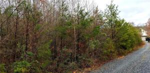 Tract 1 Canoe Lane