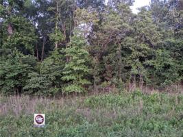 Hwy 21 Catawba River Road