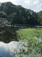 1748 Lakeshore Drive