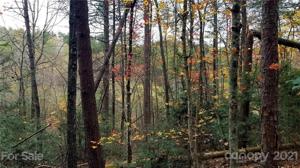 0 Shoal Creek