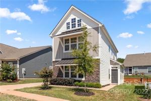 40162 Crooked Stick