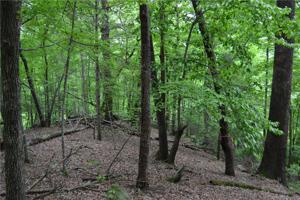 0 Boys Camp Road