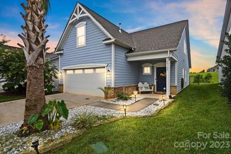 40125 Crooked Stick