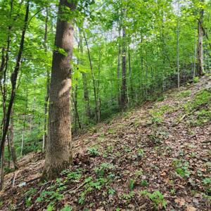 Lot 83 Switchback Road