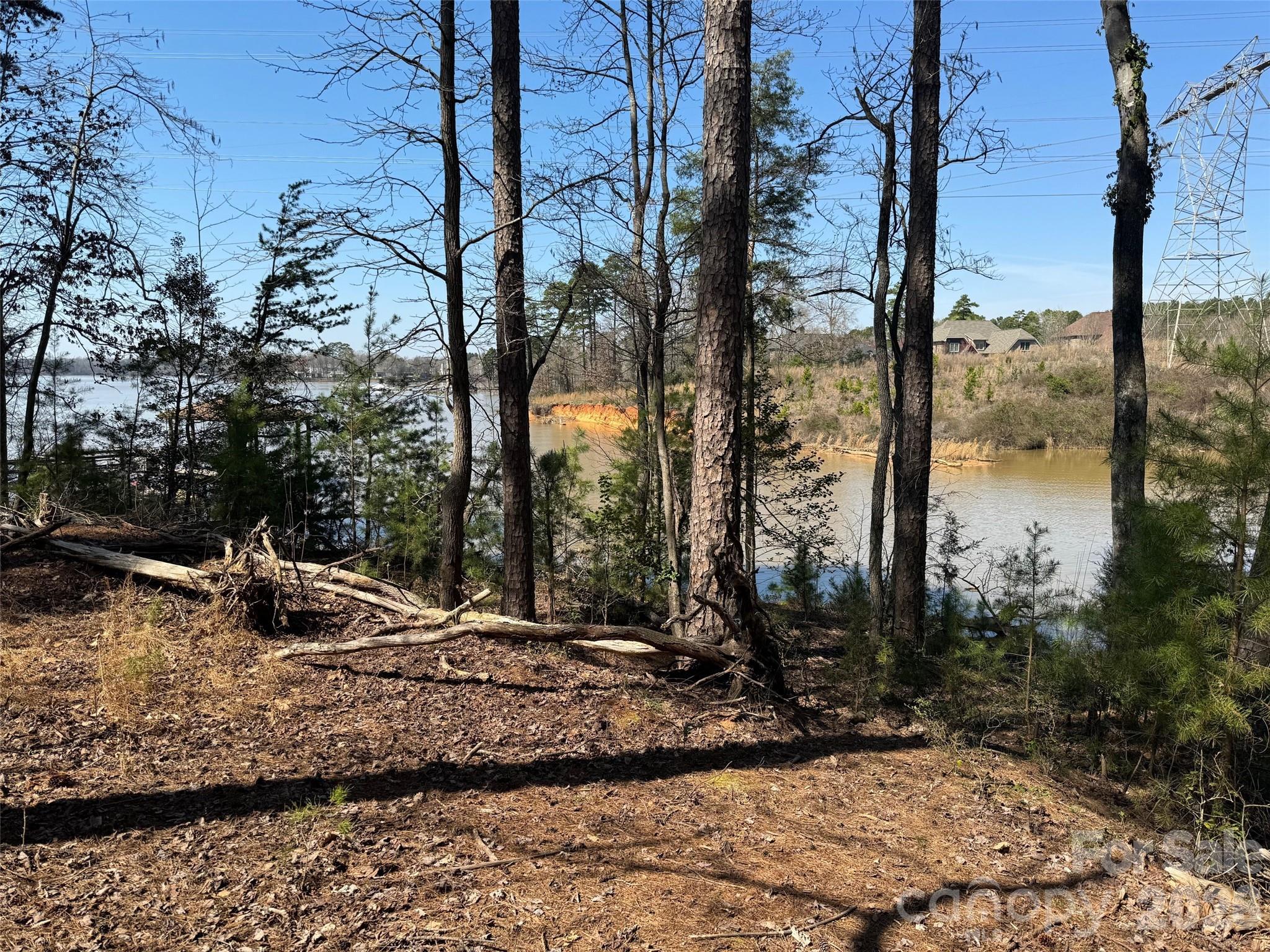 Image 1 Image 1