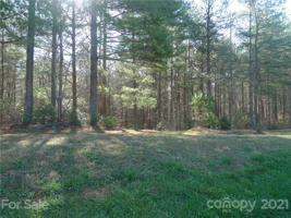 129 Big Tree Way