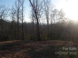 Lot 37 Mountain