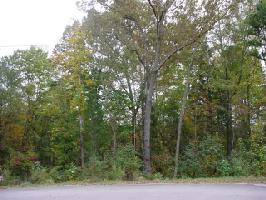 Lot 57 597 Evergreen Road 