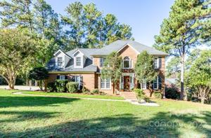 11048 White Swan