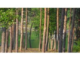 Lot 127 3744 Rivergrass Lane 