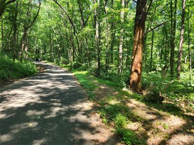 Lot 332 & 333 Bolt Road