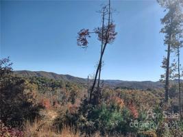 TBD Walnut Hollow