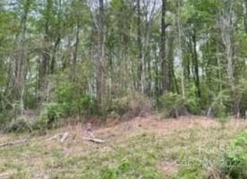 Tract 6 Lake Wylie