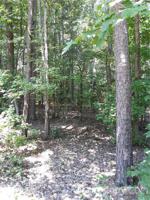 163 Shagbark