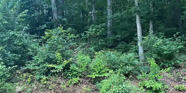 Lot 132 Rocky Acres Road
