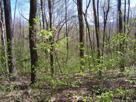 LOT 201 Bald Mountain