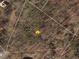 LOT 44 Courtland
