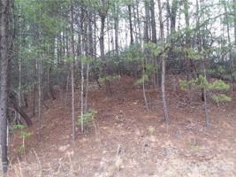LOT 74 Lakewood