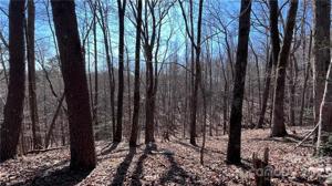 Lot 16 Wilkerson Court