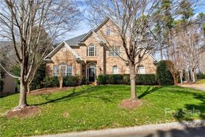 1615 Scotch Pine
