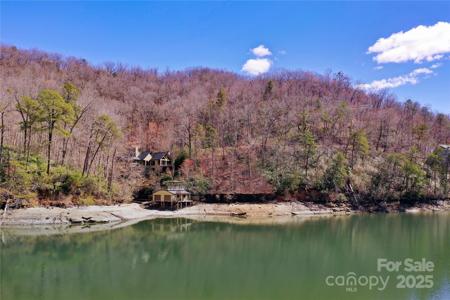 0 Buffalo Shoals Road