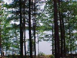 Lot 17 176 Timber Lake Court 