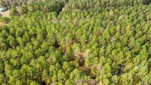 32 Acres Catawba Cove