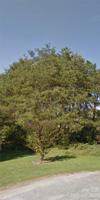 3315 47th NE
