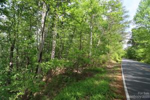 00 Buffalo Shoals Road