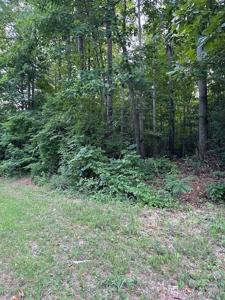 8109 Catawba Cove Drive