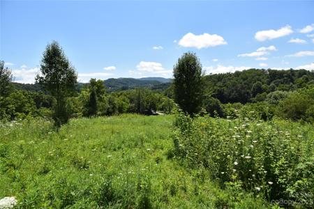 000 Leatherwood Cove-Road