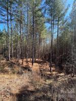 107 Table Rock Trace NW