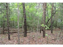 1 AC Lot Island View Circle 