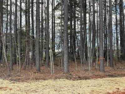 Lot #4 Grace Chapel Road