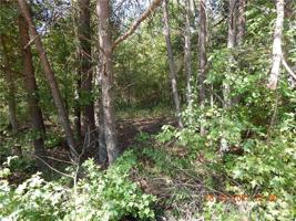 235 Waccamaw