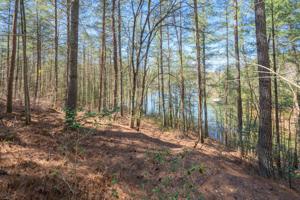 2297 Anchor-Lane