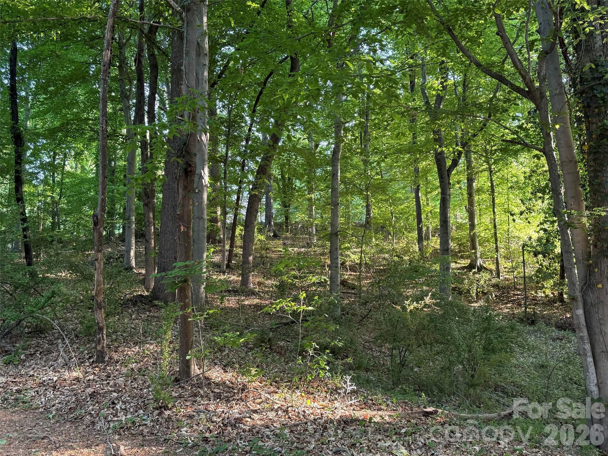 Image 4 Image 4
