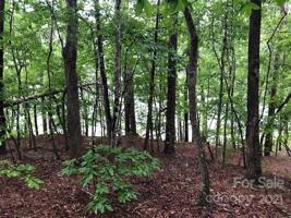 13B South Cove