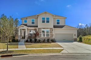 3728 Rustic Pine