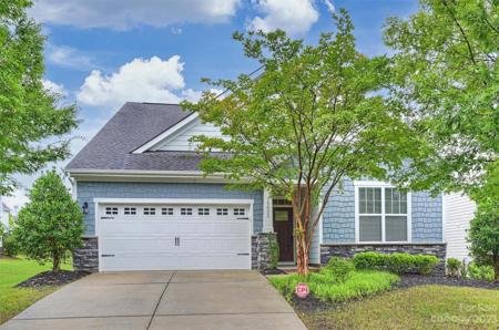 15425 Oleander