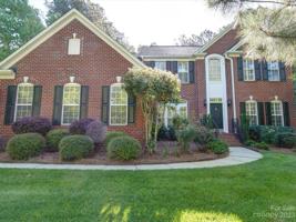 109 Willow Tree