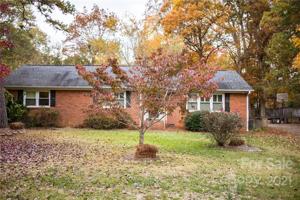 231 Dogwood